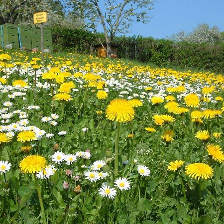 Ferienwohnungen "Allerleigruen" Langenroda Экстерьер фото