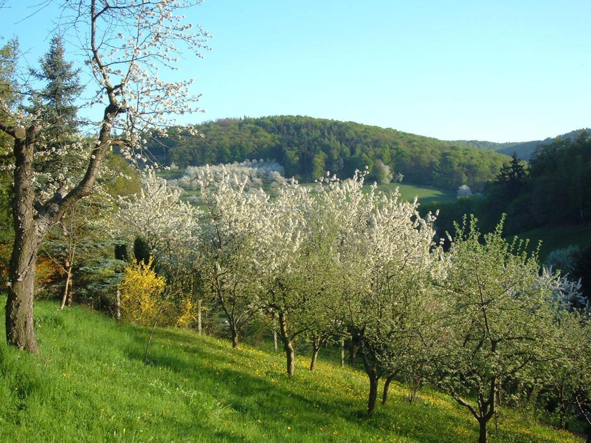 Ferienwohnungen "Allerleigruen" Langenroda Экстерьер фото